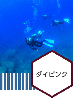 アクティビティ-ダイビング