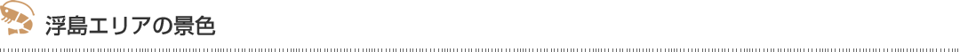 浮島エリアの景色
