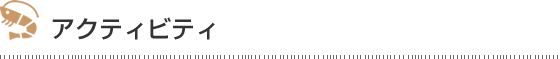 アクティビティ