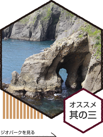 ジオパークを見る